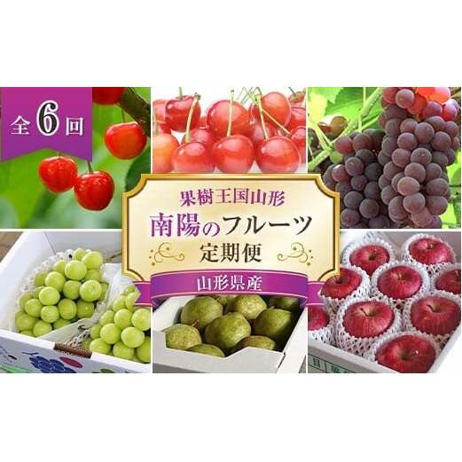 【令和8年産先行予約】 《定期便6回》 果樹王国山形 南陽のフルーツ定期便A 『マルエ青果』 果物 くだもの フルーツ 山形県 南陽市 [1105-R8]