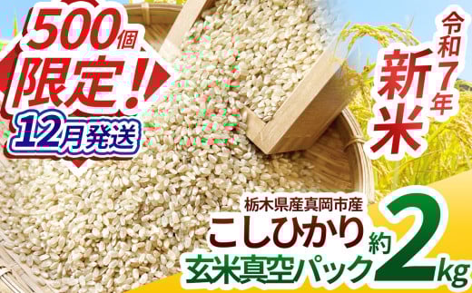【先行予約】【ふるさと納税】いちご農家さん応援米！令和7年度新米 真岡市産こしひかり（玄米真空パック) 約2kg 選べる発送月 | 新米 真岡市産 こしひかり 真空 パック 米  お米 玄米 もちもち  限定  先行 予約 ふるさと納税 栃木県 真岡市 送料無料 