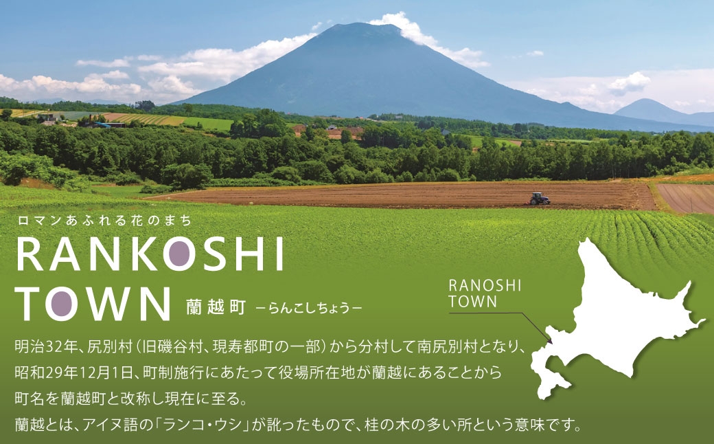 ニセコ雪饅 20個