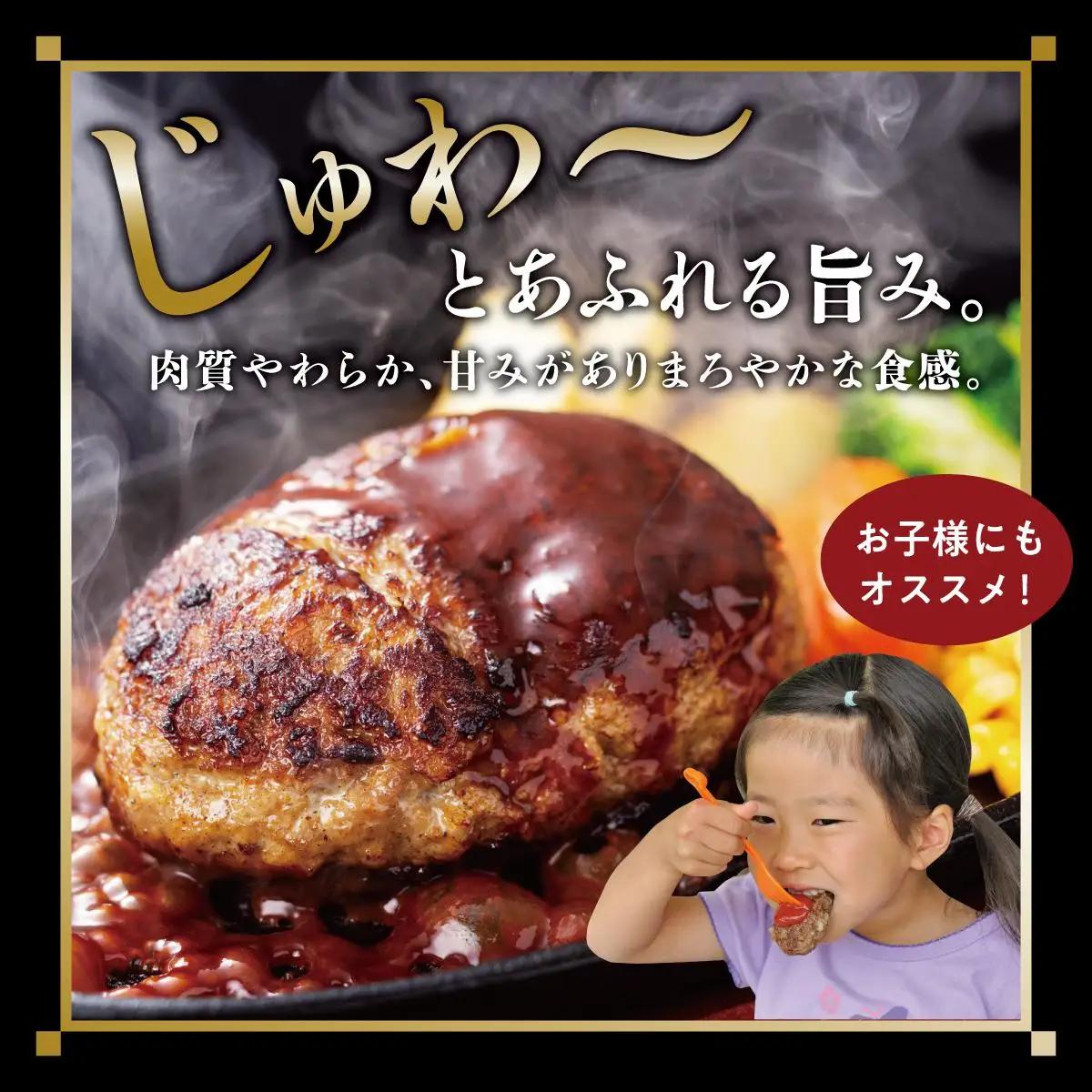 ハンバーグ 120g × 20個（2400g）冷凍【美ら島あぐ～】   