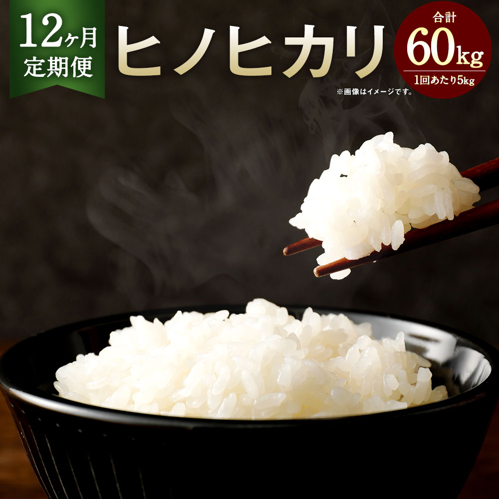 【ふるさと納税】【12カ月定期便】相良村産 ヒノヒカリ 5kg 合計60kg 5kg×12回 定期便 12回 毎月 お米 白米 精米 熊本県産 国産 九州産 送料無料