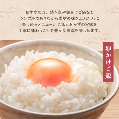 ふるさと納税 妙高市 【2026年5月下旬発送】【定期便】令和7年産 新潟県妙高産コシヒカリ5kg×2回(計10kg) |  | 02