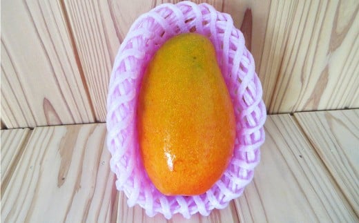 人吉市産 マンゴー 2～3玉 （約1.5kg） まんごー 果物 フルーツ くだもの デザート スイーツ 果肉 果汁 南国フルーツ トロピカルフルーツ 国産マンゴー 国産フルーツ 熊本県 人吉市 常温 【2026年7月上旬～8月上旬発送予定】