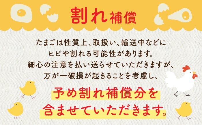 【全6回定期便】ばあちゃんの昔たまご 計120個（15個+5個×6回（割れ補償付き）） / 平飼い卵 / 佐賀県 / 素ヱコ農園 [41AEAA005]