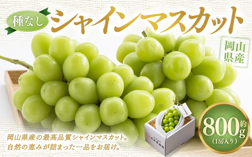 
                  【種なし】岡山県産 シャインマスカット 1房箱 計約800g マスカット ぶどう ブドウ 葡萄 フルーツ 種無し【2026年10月上旬-11月下旬発送予定】
                