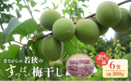 
                  若狭のすっぱい梅干し(品種は新平太夫か福太夫)　訳あり品　(300gを6袋、合計1800g)　シソ漬け 梅 ウメ 若狭町[№5580-1309]
                