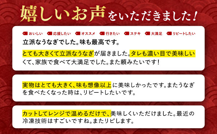 うなぎ 鰻 国産 福岡県産 蒲焼 かば焼き 土用 丑の日 ギフト 贈答