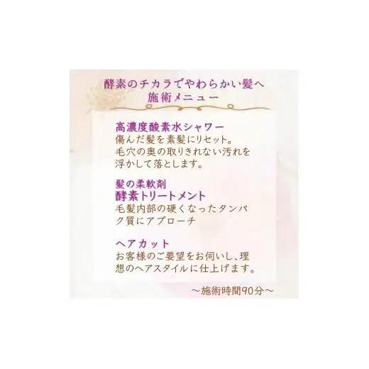 「酵素のチカラでやわらかい髪へ」ご利用券 酵素トリートメント ヘアカット 高濃度酸素水ケア 所要時間90分 髪質改善 ヘアケア 髪の柔軟剤 ヘアスタイル トリートメント 美容室 髪質 素髪 剛毛 ダメ