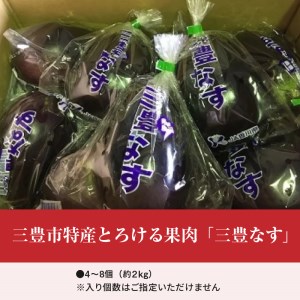 【先行予約】三豊市特産とろける果肉「三豊なす」約2kg_M02-0096