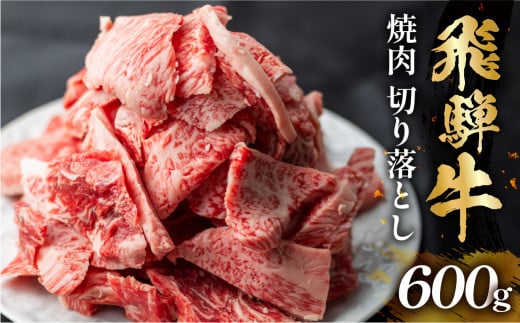 飛騨牛 焼肉 切り落とし 600g 訳あり 15000円 [S767]