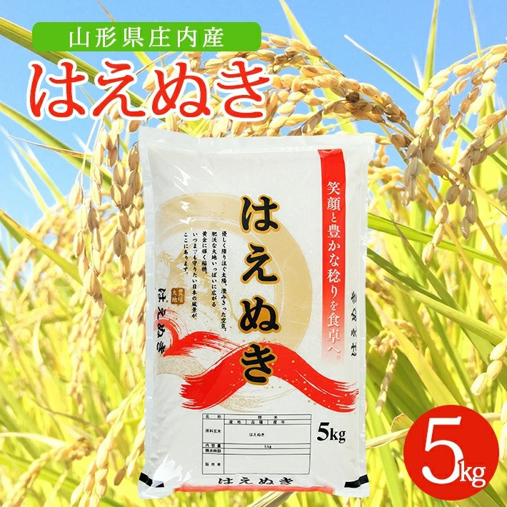 
            SA2517　令和6年産【精米】はえぬき　5kg×1袋 AK
          