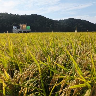 ふるさと納税 長浜市 滋賀県産 低農薬栽培 ミルキークイーン 玄米10kg 令和7年産 |  | 01