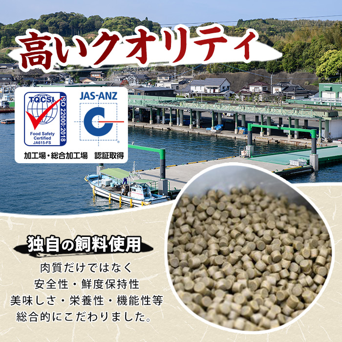 【お試し品】 ぶりの王様「 鰤王 」 スキンレスポーション 4P入り 冷蔵 でお届け ぶり ブリ 鰤 ぶりしゃぶ たたき 産地直送 新鮮 旨味が抜群の 長島町 特産品【JFA】jfa-1600