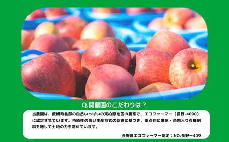 りんご サンふじ 訳あり 10kg 関農園 沖縄県への配送不可 2024年12月上旬頃から2024年12月下旬頃まで順次発送予定 エコファーマー認定 令和6年度収穫分 傷 不揃い リンゴ 林檎 果物 