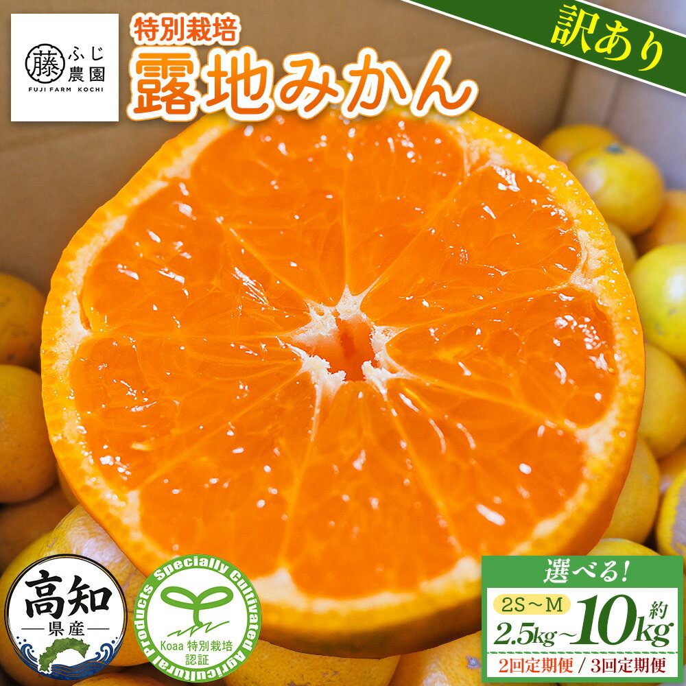 【ふるさと納税】ふじ農園の露地みかん 訳あり (2S〜M) (内容量：約2.5〜10kg／定期便：2/3回) - 大容量 選べる 配送回数 定期便 国産 小玉 蜜柑 ミカン 柑橘 果物 フルーツ 訳アリ 5キロ 5kg ご家庭用 自宅用 箱買い ふじ農園 高知県 香南市 【常温】