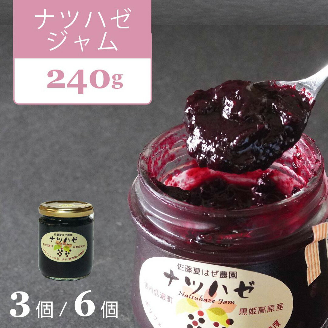 【ふるさと納税】「ナツハゼジャム Lサイズ（240g）3個/6個セット」無農薬栽培された"和製ブルーベリー"を丁寧に仕込んだジャムです【長野県信濃町】
