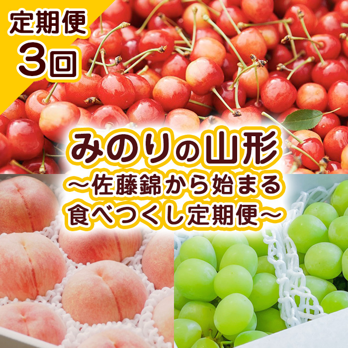 【定期便3回】みのりの山形～佐藤錦から始まる食べつくし定期便～【令和6年産先行予約】FU23-708