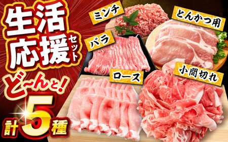 豚肉 生活応援セット 計5kg 豚肉 [BBBQ160] 豚肉しゃぶしゃぶ