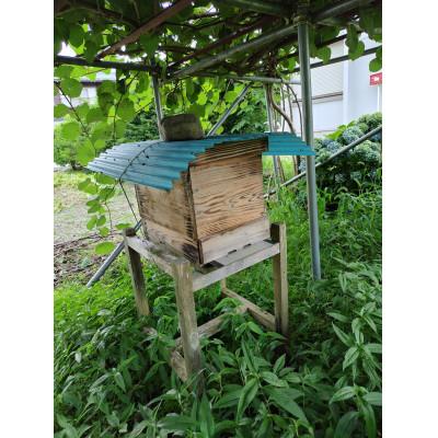ふるさと納税 飛騨市 飛騨 日本みつばちの会の蜂蜜 <ひだの百花蜜>   150g 2本 桐箱入り |  | 02