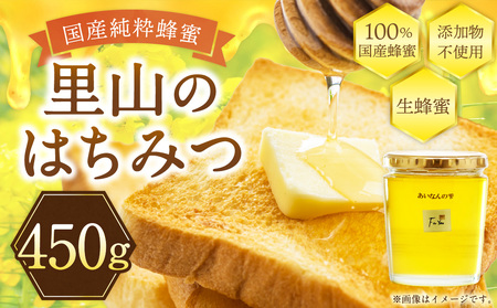 はちみつ 450g 蜂蜜 ハチミツ 蜜 みつ ミツ 常温 国産 愛媛県 【えひめの町（超）推し！（愛南町）】【2026年5月下旬から順次発送予定】（327）