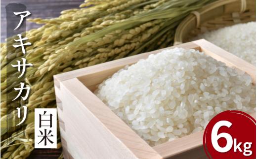 【先行予約】令和7年産 米 白米 6kg （ 2kg × 3袋 ） アキサカリ 令和7年度産 新米 1袋2kg 小分け お米 こめ 白米 精米 ごはん ご飯 白飯 ゴハン コメ 吉野川 徳島県 吉野川市