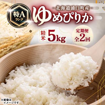 ふるさと納税 浦臼町 【毎月定期便】浦臼町産　ゆめぴりか(精米)5kg　特A　お米全2回