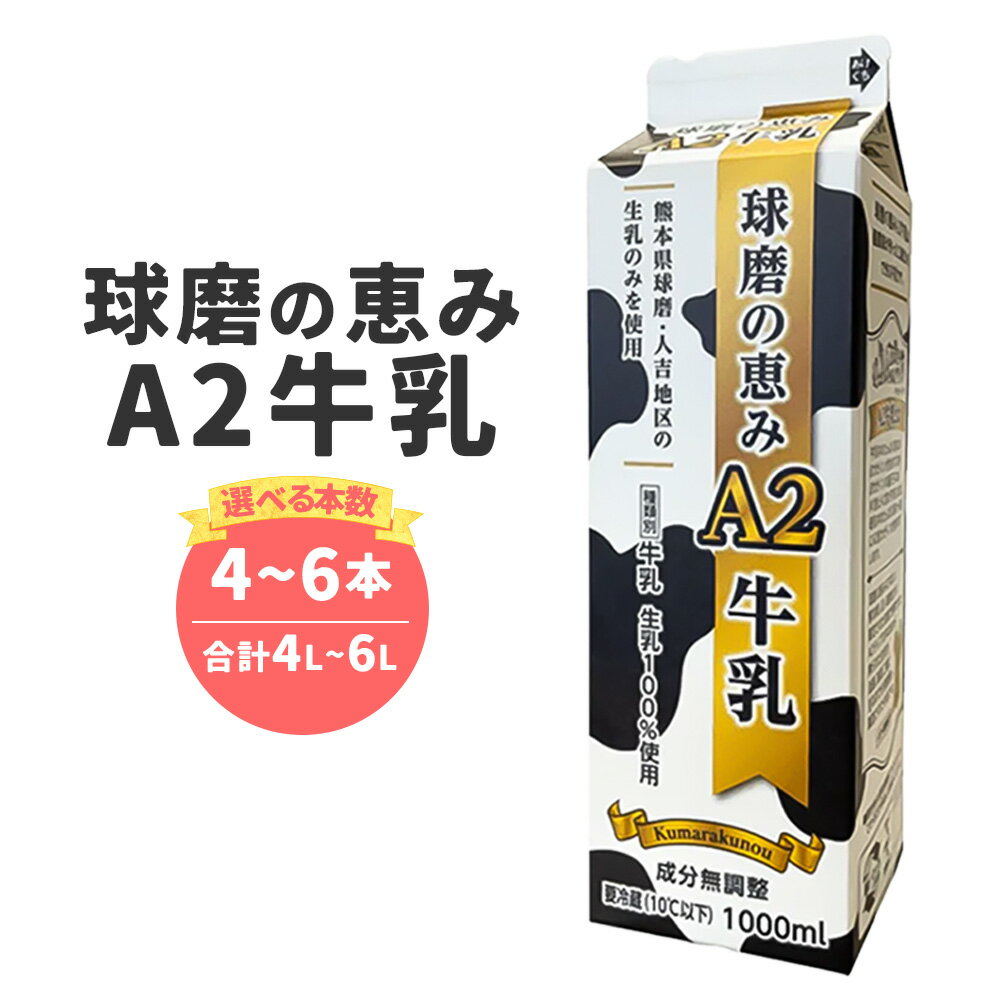 【ふるさと納税】＜選べる内容量＞球磨の恵みA2牛乳 4パック・6パック 1パック1000ml 1L 計4L・計6L 生乳100% ぎゅうにゅう ミルク ドリンク 飲料 冷蔵 熊本県産 国産 九州 熊本県 湯前町 送料無料