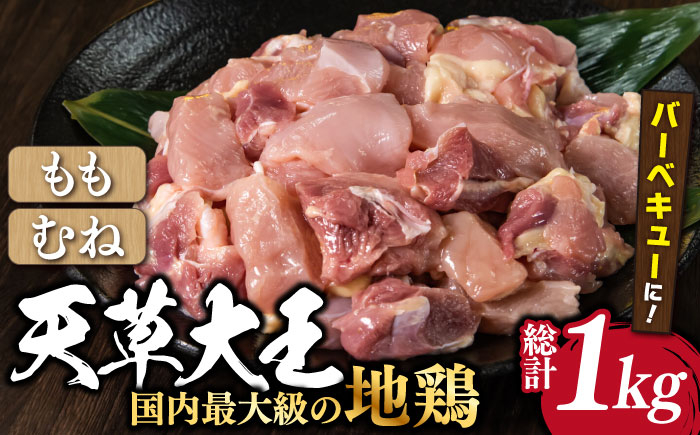 
【数量限定】熊本県産 天草大王 地鶏 バーベキュー用カット肉 計1kg 鶏肉 もも むね 国産 【あそ大王ファーム株式会社】[YCF004]
