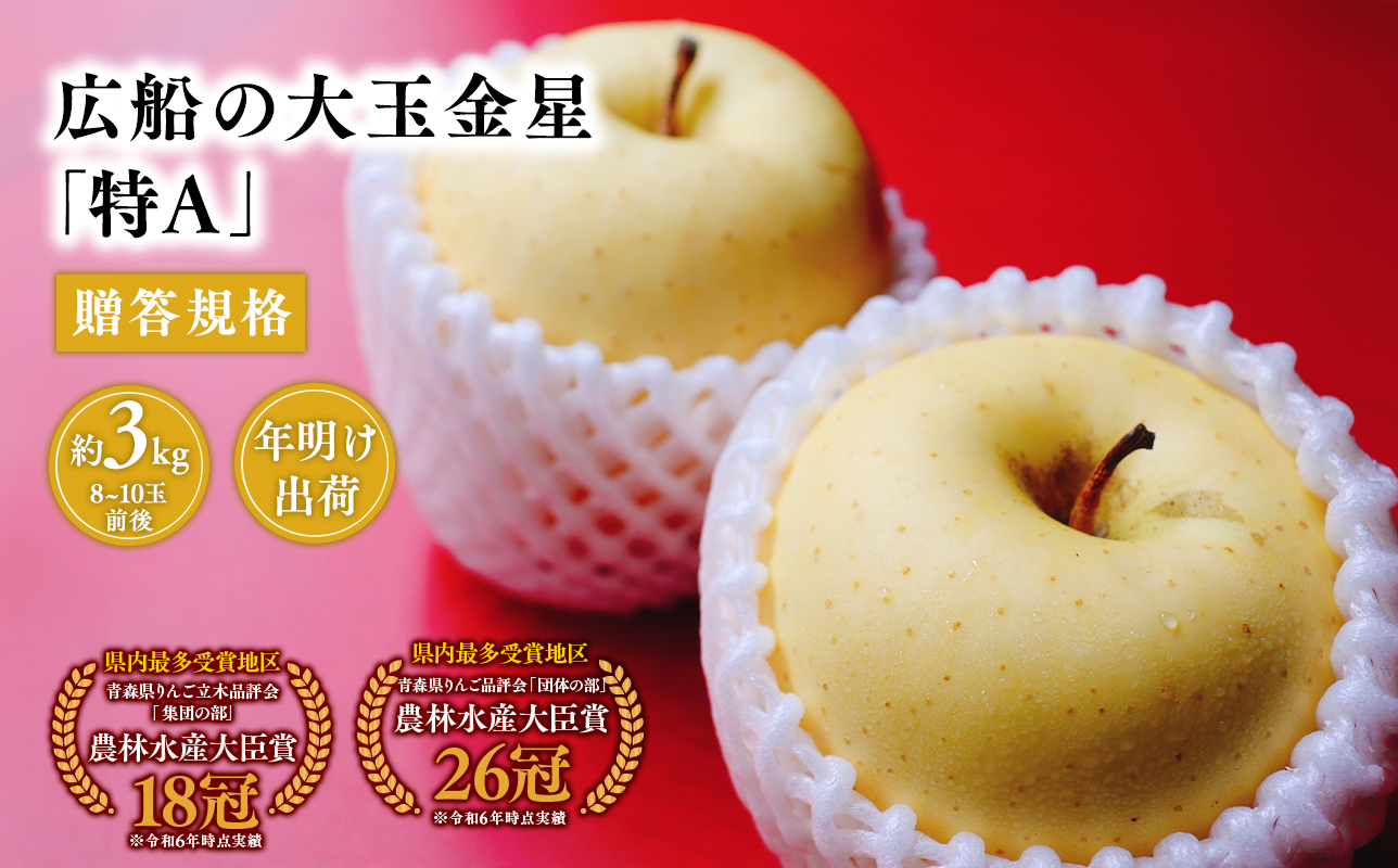 年明け 贈答規格 広船の大玉金星約3kg「特A」【広船アップルクラブ】