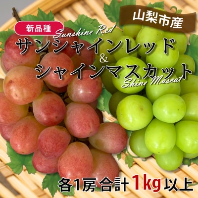 【2026年先行受付】山梨市産サンシャインレッドとシャインマスカットの特別セット(合計1kg以上)【配送不可地域：離島】