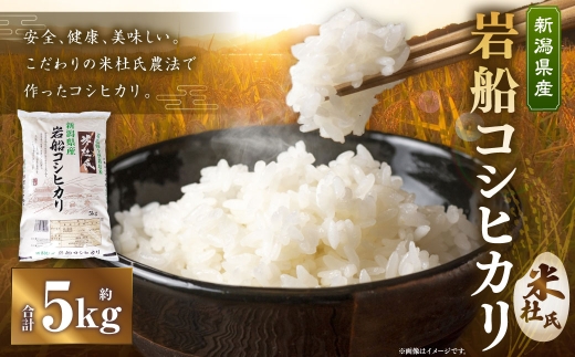 令和7年産 新潟県 村上市 岩船産米杜氏コシヒカリ 5kg お米 米 こめ コメ 白米 こしひかり コシヒカリ ブランド米 白飯 飯 ご飯 おにぎり 国産 新潟県産 005-0001