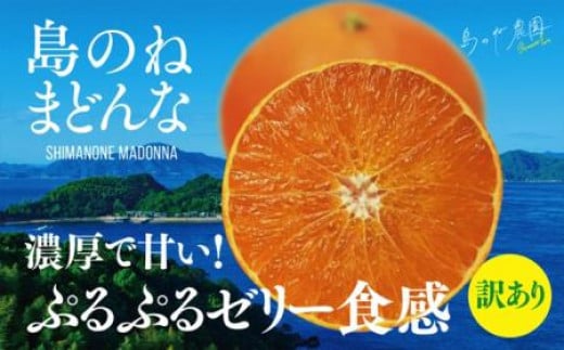 
【訳あり】島のね農園のまどんな　5kg【KB01620】
