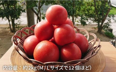 甘くて濃厚！糸島産大玉トマト2kg【大櫛トマトファーム】とまと/糸島野菜/やさい [AQH001]