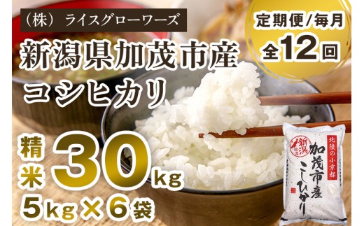 【令和7年産】【定期便12ヶ月毎月お届け】新潟県加茂市産コシヒカリ 精米30kg（5kg×6）《順次出荷》 新潟県産コシヒカリ 新潟産コシヒカリ 新潟コシヒカリ 新潟県産こしひかり 新潟産こしひかり 新潟こしひかり コシヒカリ こしひかり お米 白米 米 定期便 （株）ライスグローワーズ