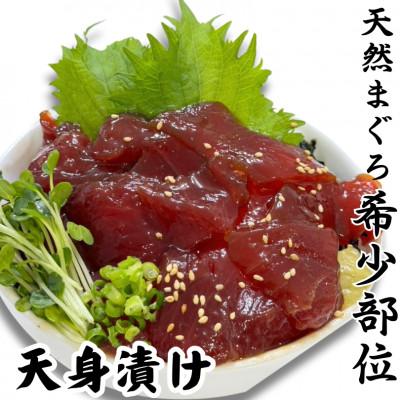 ふるさと納税 三浦市 めばち鮪天身漬け