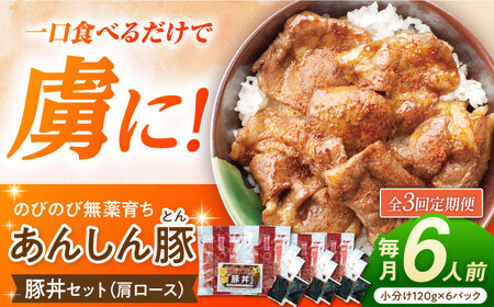 【3回定期便】豚丼セット(肩ロース120g×2人前) ×3 豚肉 白川町 / 藤井ファーム[AWAF013]