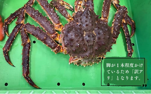 北海道以北、アラスカ湾まで北洋に広く分布するタラバガニ。