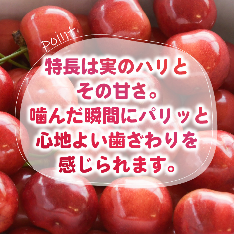 画像はイメージとなります。