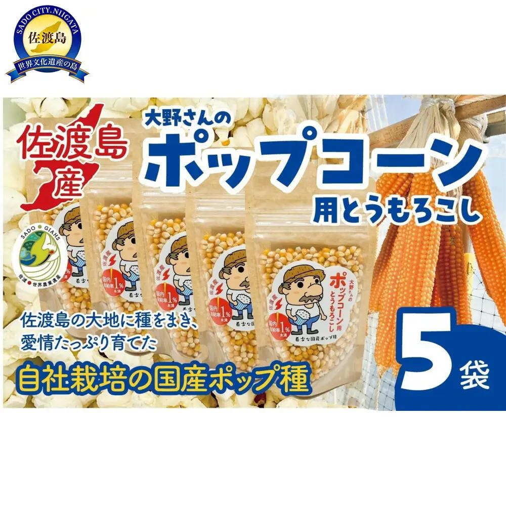 とうもろこし 180g 5袋入 ポップコーン用 | 新潟県 佐渡市 ポップコーン