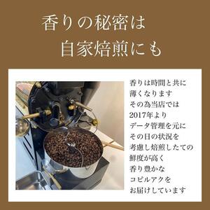 最高級コーヒー コピルアク 100g【豆状】