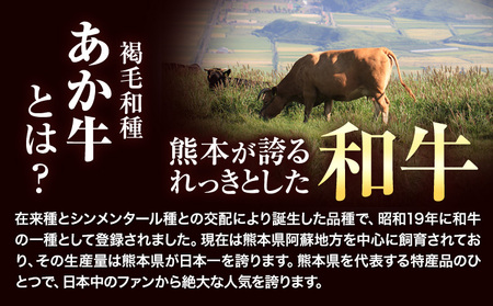 あか牛切り落とし 1.1kg(275g×4パック)　赤身切り落としスライス 《30日以内に出荷予定(土日祝除く)》肉 牛肉 切り落とし 国産牛 切落とし ブランド牛 すき焼き スライス カレー 焼肉 