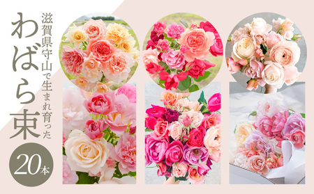わばら束 20本 　Rose Farm KEIJI　WABARA 和ばら バラ 花束 冷蔵 贈り物 Rose Universe AT-0005