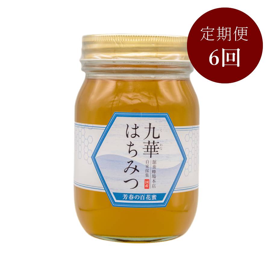 ＜舘養蜂場本店＞「九華はちみつ」（芳春の百花蜜）500ｇ【6ヵ月定期便】