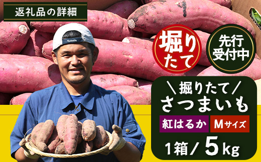 【先行予約：2026年9月中旬配送～】掘りたて さつまいも 紅はるか 5kg Mサイズ (おすそ分け袋／自宅で簡単レシピ付き）FR-204 | 秋の味覚 2026年秋収穫 新物 さつまいも サツマイモ 感動サツマイモ 焼き芋 べにはるか 使いやすい 野菜 おやつ おかず お弁当 煮物 芋ごはん 味噌汁 産地直送 鹿児島県 南大隅町 株式会社フォレスト