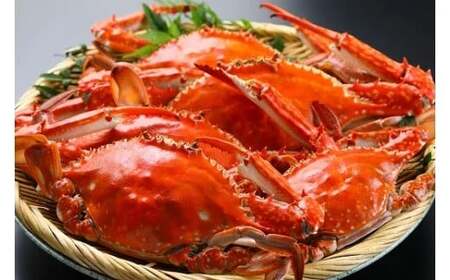 たら竹崎温泉　夜灯見荘　利用券（30,000円相当分）　旅行券 宿泊券 利用券 旅館 宿 温泉 温泉旅行 国内旅行 佐賀県 太良町 T14