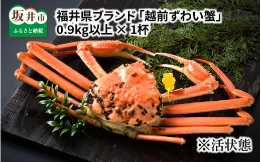 【先行予約】福井県ブランド ≪茹で≫「越前ズワイ蟹」 0.9kg以上 【2025年3月発送分】 [K-1401_03]