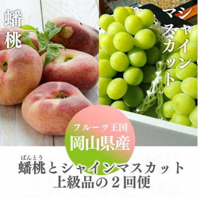 【ふるさと納税】【発送月固定定期便】【きよとうファーム】蟠桃とシャインマスカットの上級品を岡山から産地直送全2回【配送不可地域：離島】【4066241】