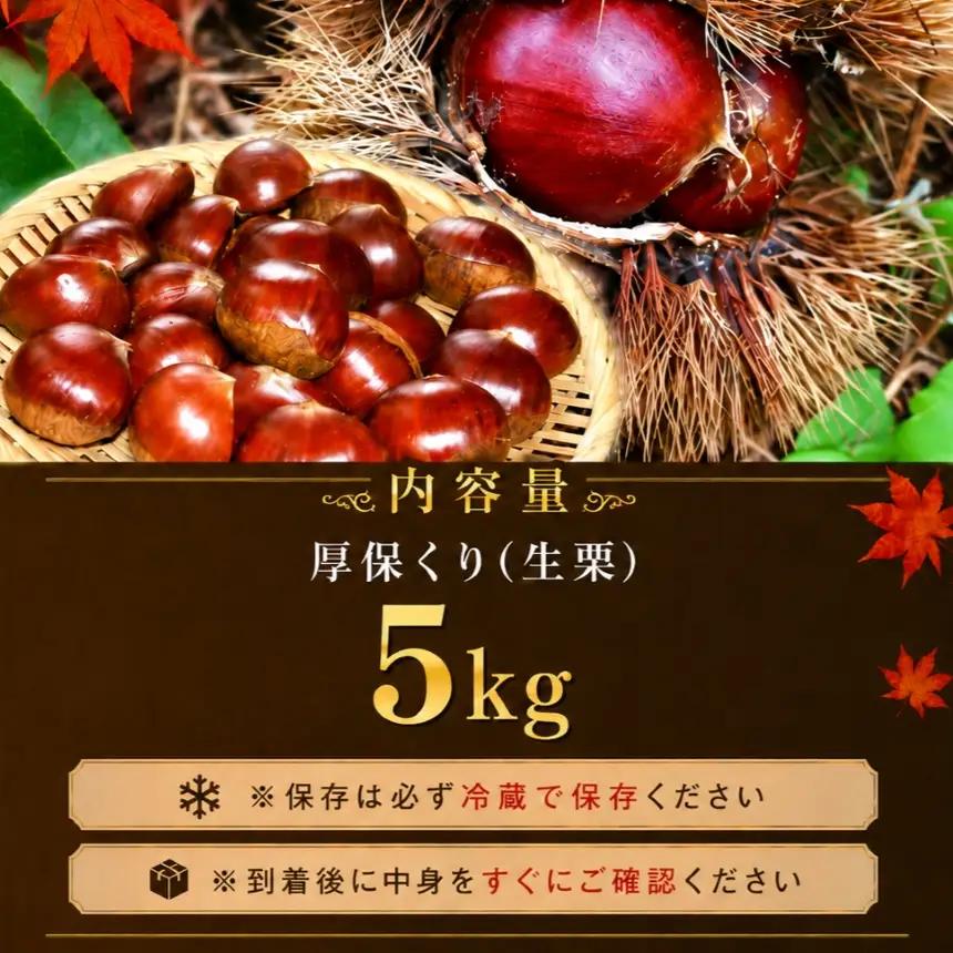 【先行予約】甘くて デカい ! 厚保くり ( 生栗 ) 5kg 山口美祢産 先行予約 ＜2026年10月上旬 ～ 11月中旬 発送予定＞ 