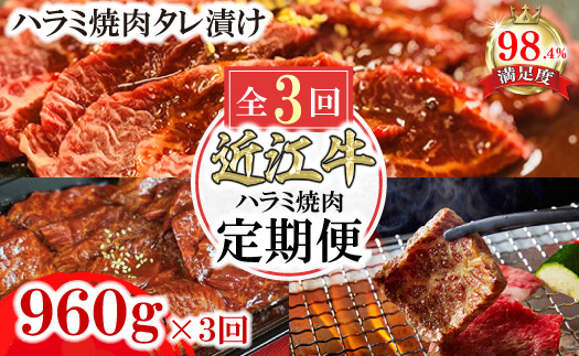 
            【定期便】定期便　和牛入国産牛　ハラミ焼肉　秘伝の自家製タレ漬け(480g×2)全３回【FO52U】
          