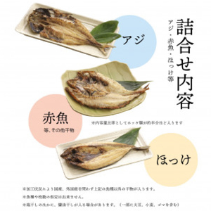 【2024年9月発送】干物訳あり 干物 ひもの 約3kg 干物 ひもの ひもの 干物 おまかせ 干物 ひもの 干物 ひもの 干物 ひもの ひもの 干物 おまかせ 干物 ひもの 詰め合わせ ひもの 干物